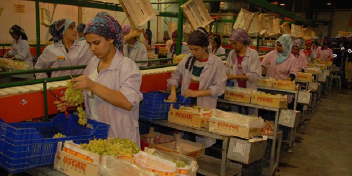 Russia to strengthen control over re-export of Turkish products through Azerbaijan